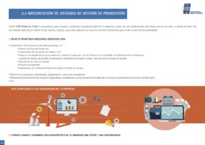 Implantación de Sistemas de Gestión de Producción